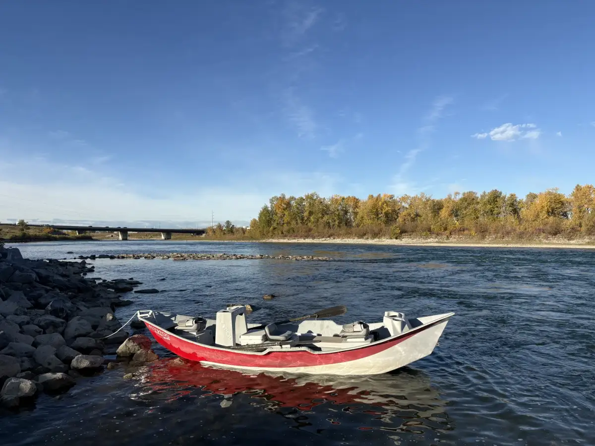 King Trout Outfitters drift boat on the Bow River - Calgary fly fishing guides